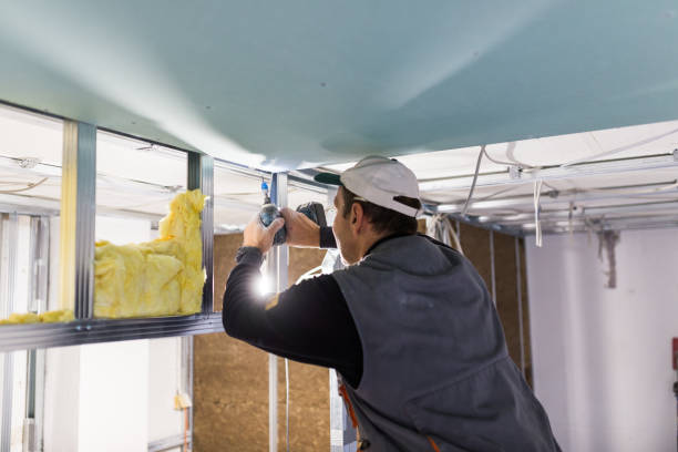 Best Insulation Maintenance and Repair in Las Quintas Fronterizas, TX